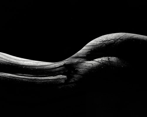 Body Shape by Erik Brede