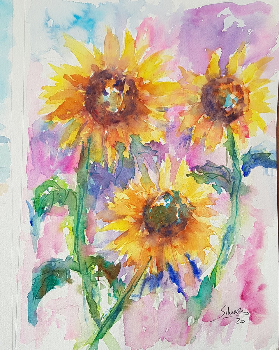 Sunflower trio by Silvia Flores Vitiello