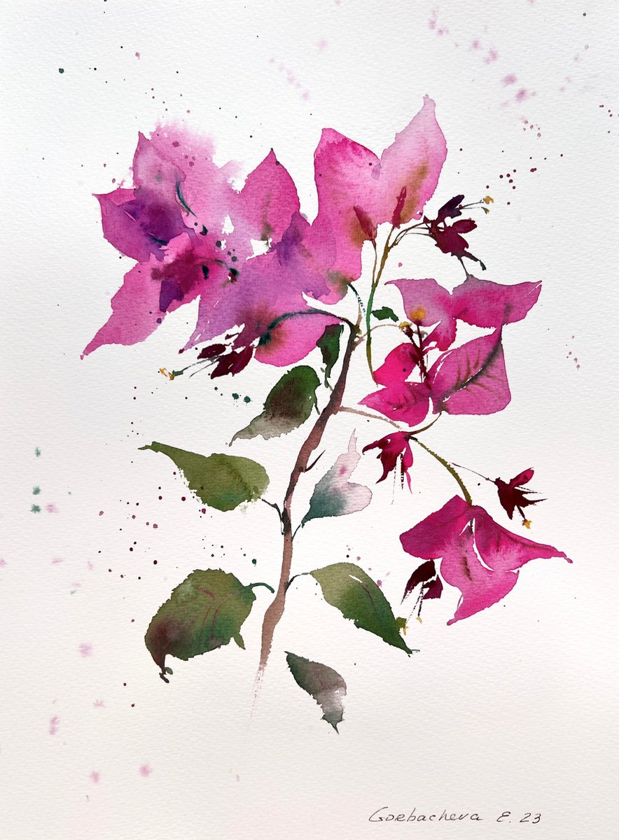 Bougainvillea #2 by Eugenia Gorbacheva