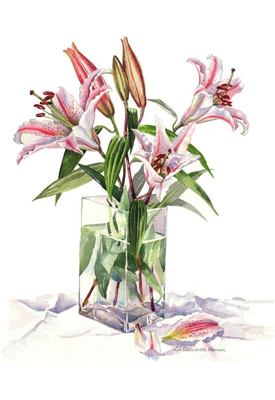 Stargazer Lilies