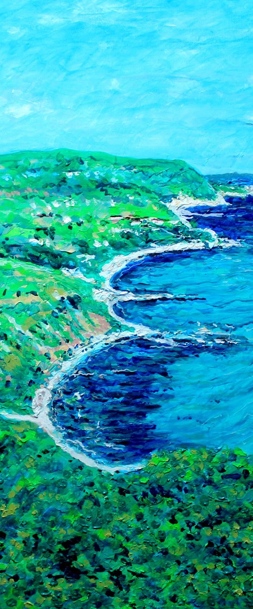 Capo Vaticano by Paul J Best