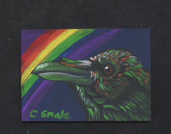 Rainbow Crow Raven