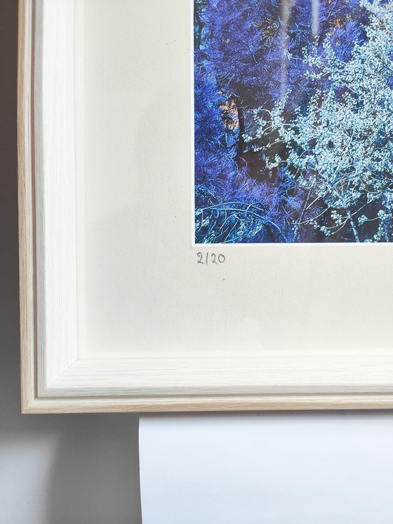 (FRAMED) Nature and Seasons