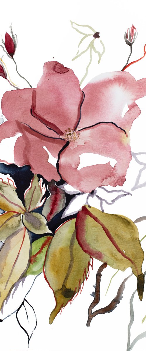 Rose Study No. 60 by Elizabeth Becker