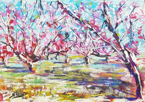 Peaches in blossom by Silvia Flores Vitiello