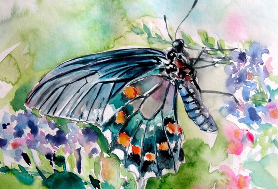 Butterfly with flowers