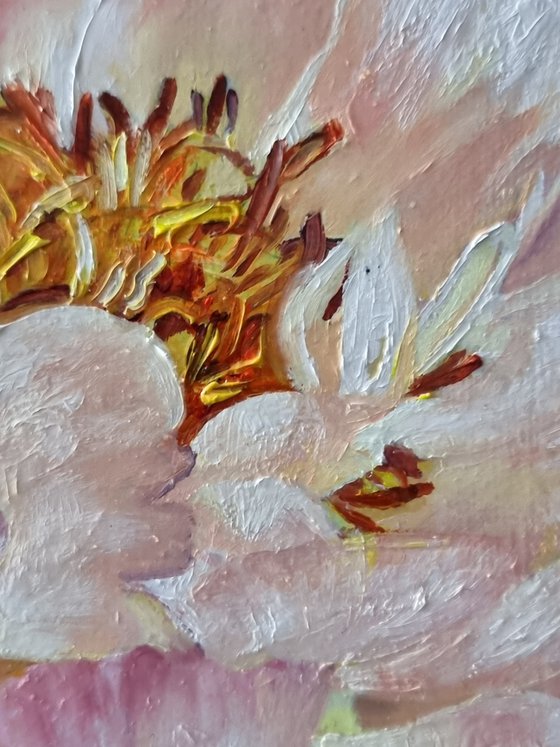 "Coral flashes. " peonies  flower  liGHt original painting  GIFT (2021)