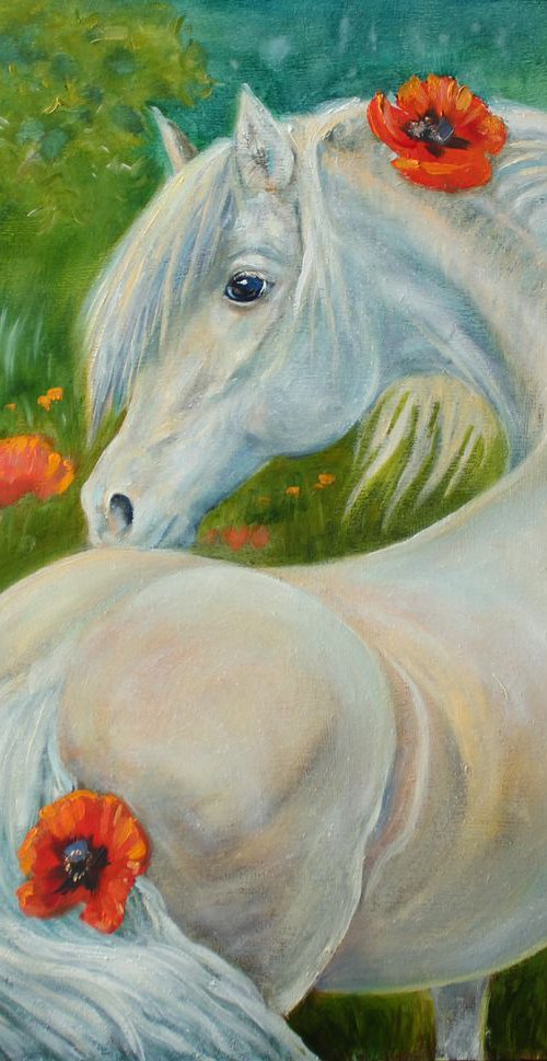 White Horse by Elina Vetrova