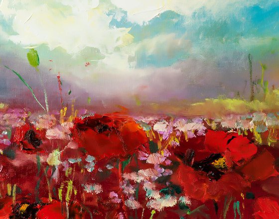 'Red Poppy Field'