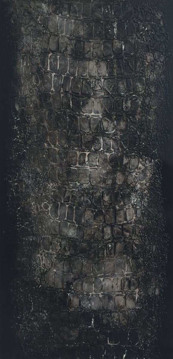 Black Croc Skin on Wood by Ivana M. Neo