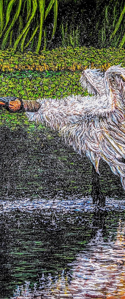 Wood Stork Shake by Robbie Potter