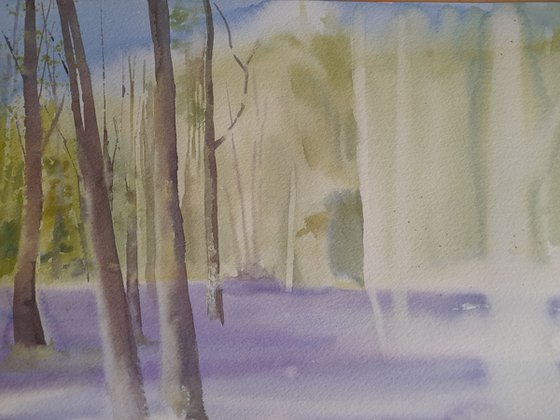 Bluebell Wood, Original watercolour painting