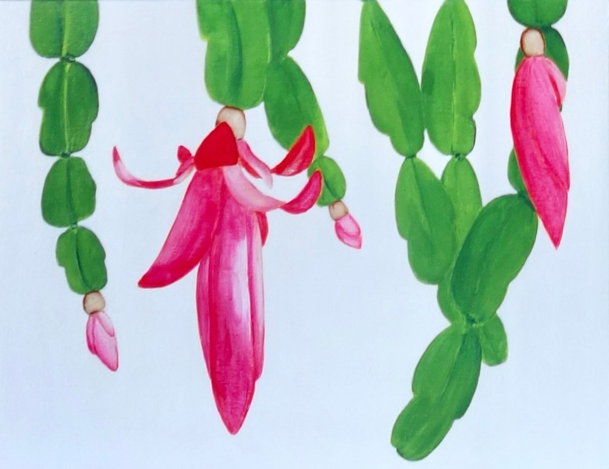 Christmas Cactus by Susan Porter