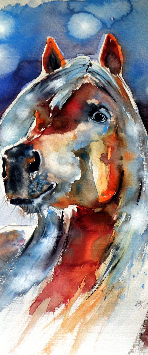 Horse portrait by Kovács Anna Brigitta