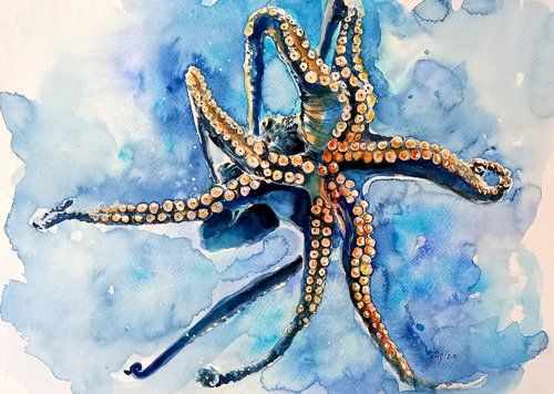 Octopus by Kovács Anna Brigitta