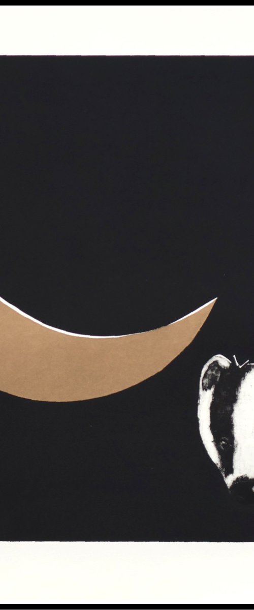 Midnight Badger by Mariann Johansen-Ellis