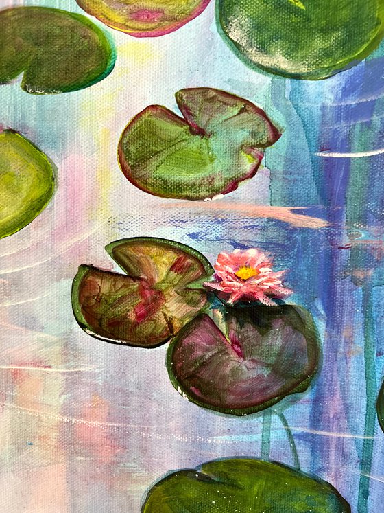 Water Lilies 6