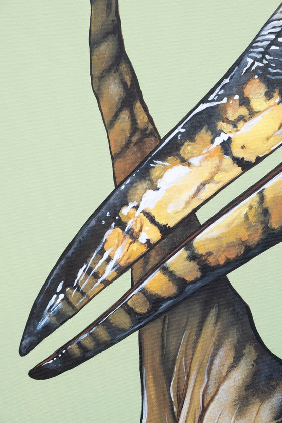 Pteranogun