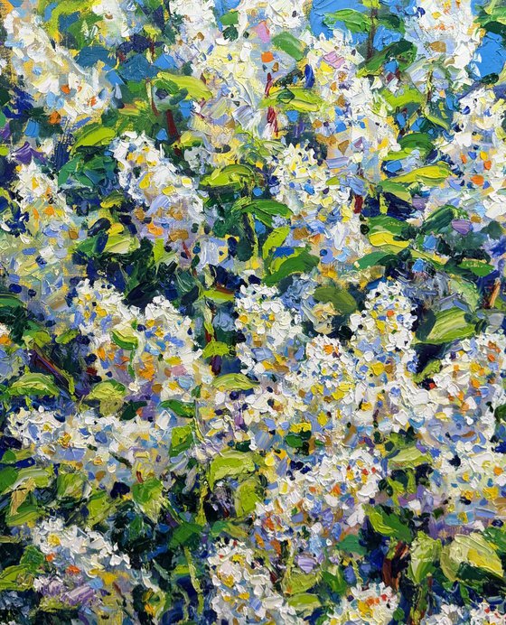 Breath of spring