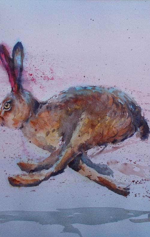 hare 9 by Giorgio Gosti