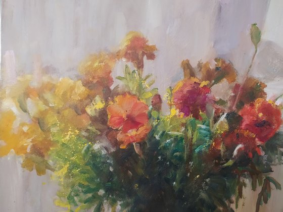 Marigolds in the sun