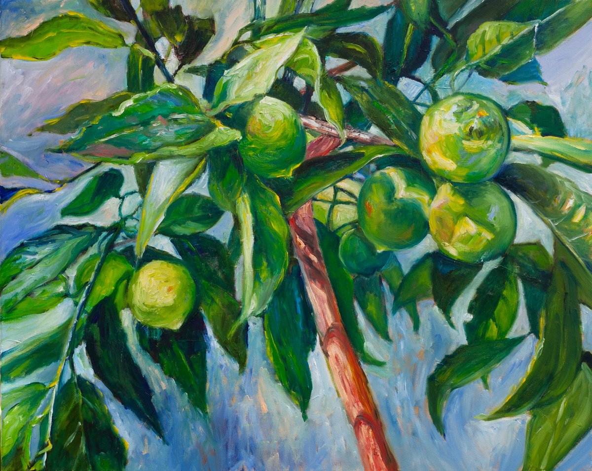 Lime By Liudmila Pisliakova, 20 X 16, Artwork For Sale On Artfinder