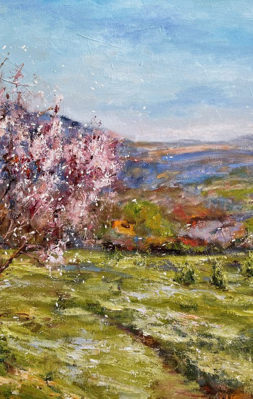 Primavera in montagna by Diana Malivani