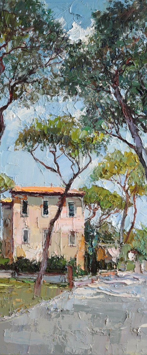 Roman Pines by Anastasiia Valiulina