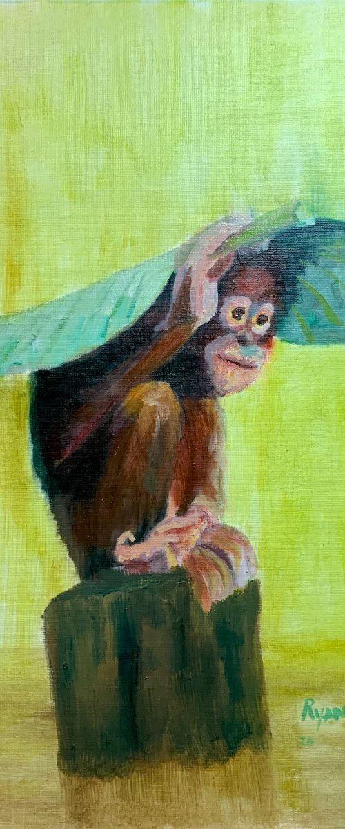 Orangutan Under A Leaf by Ryan Louder