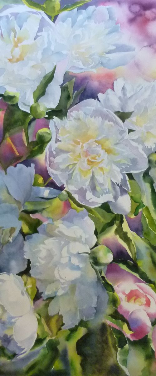 WHITE PEONIES #6 by Yurii Pashkov