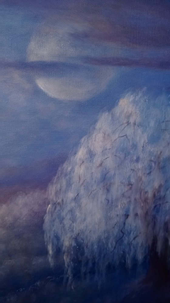 Winter Reverie
