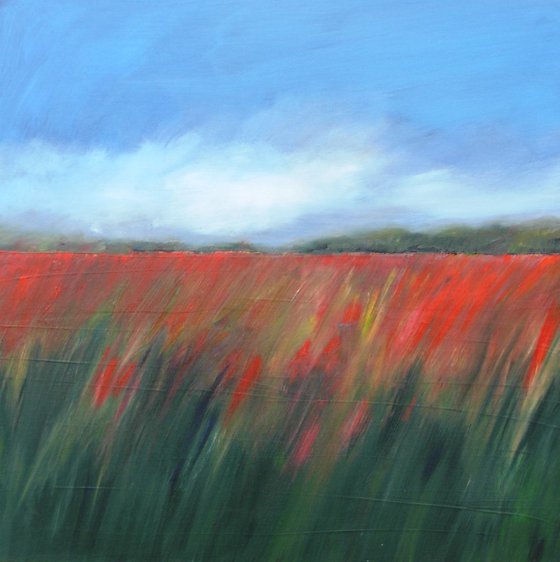 Field of Poppies 6