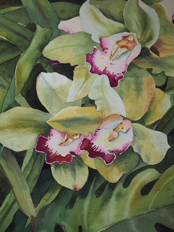 A tropical forest - original watercolor orchid flowers and monstera leaves