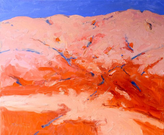 The Pink Hill of the Desert