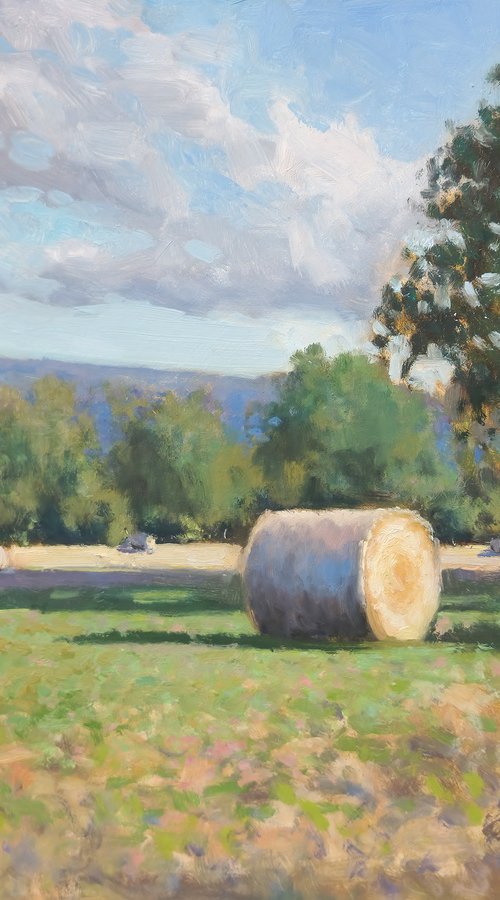 Hay Bales by Pascal Giroud
