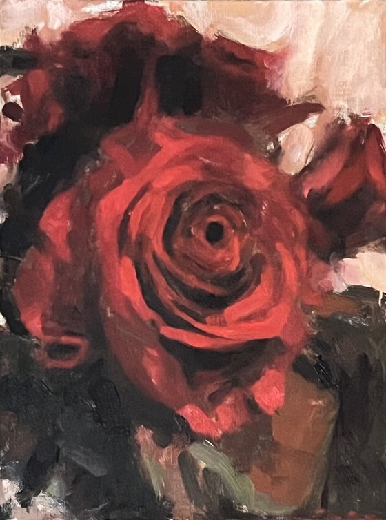 Study of Red Rose