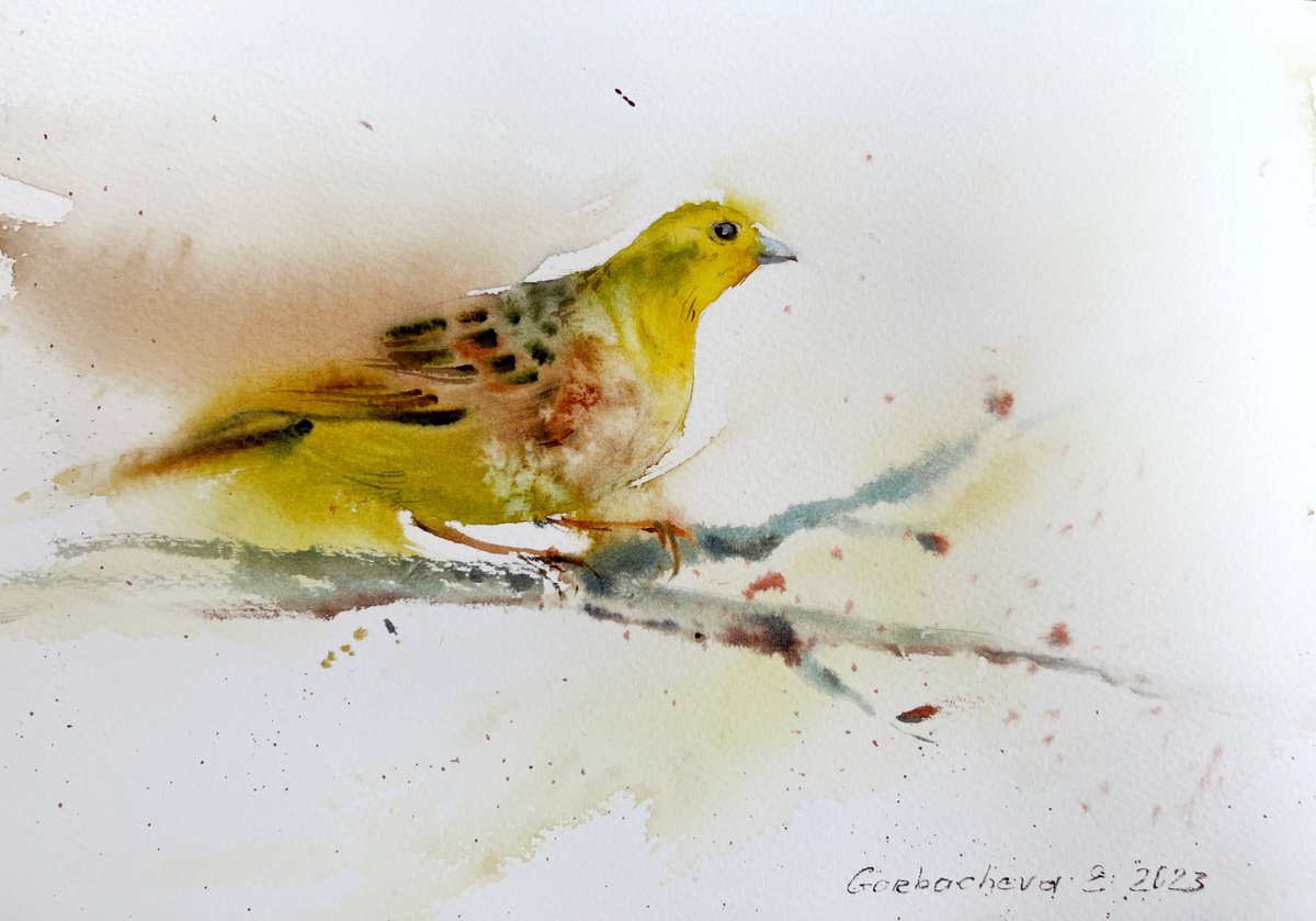 Impressionistic Animal Watercolour By Eugenia Gorbacheva, 12 X 8, Little Yellow Bird, Original Artwork