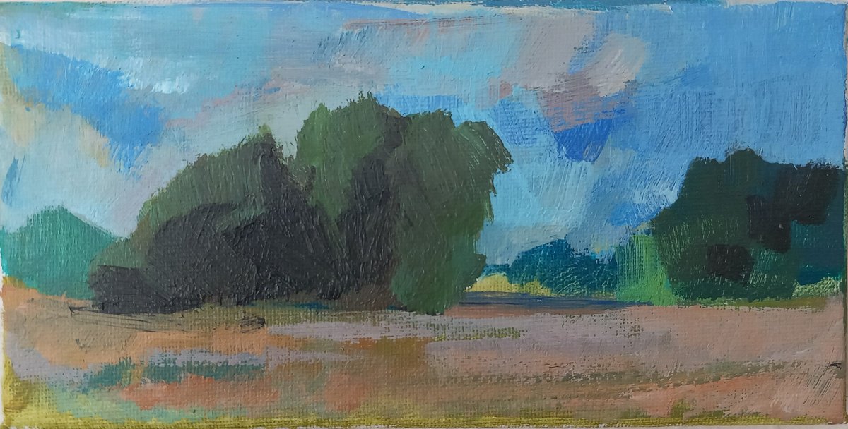 Impressionistic Landscape Acrylic Painting By Adam Grose Ma Pgce, 8 X 4, Longrun Meadow, Original Artwork