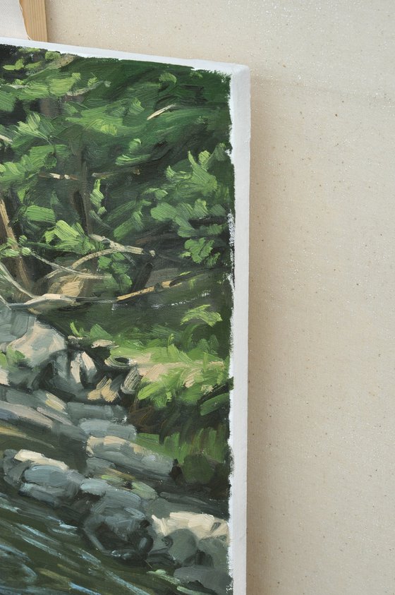 Rocks in the river