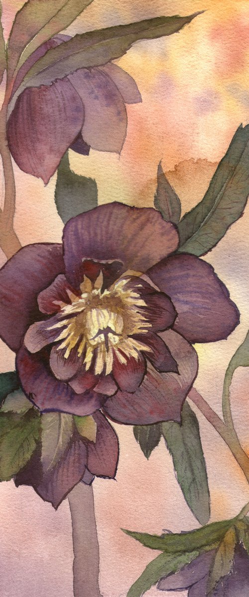Hellebore by Ekaterina Prisich