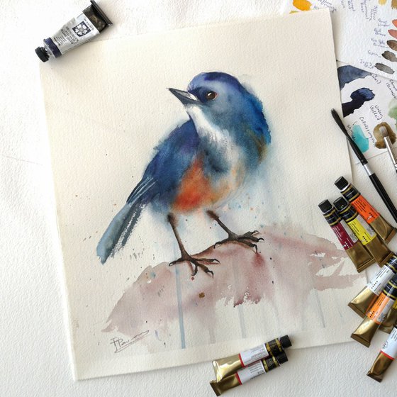 Eastern Bluebird