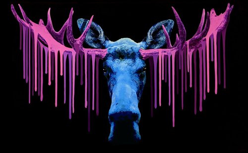 Blue Moose by Carl Moore