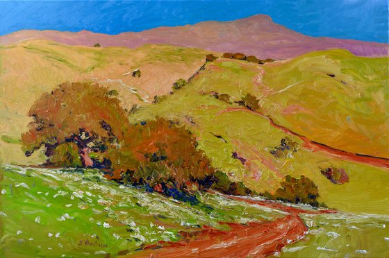 Rolling Green HIlls. California