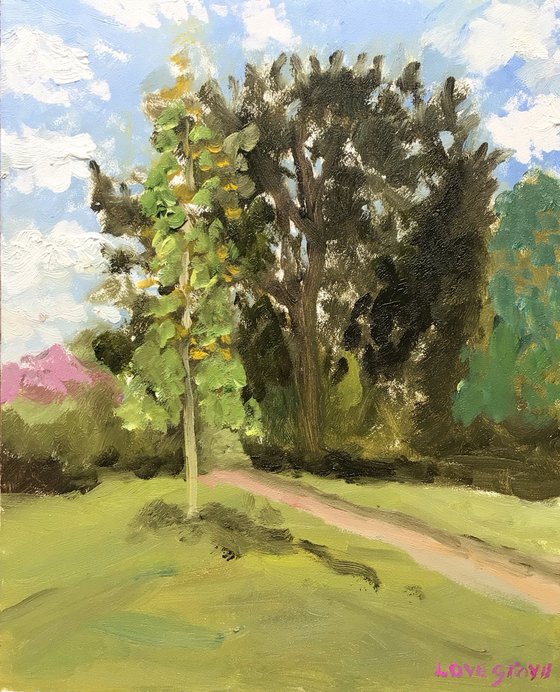 Cypress trees by the sea.