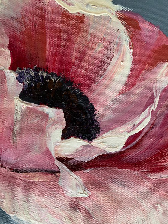 Pink poppy original flower painting on canvas