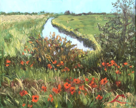 Landscape with poppies 5