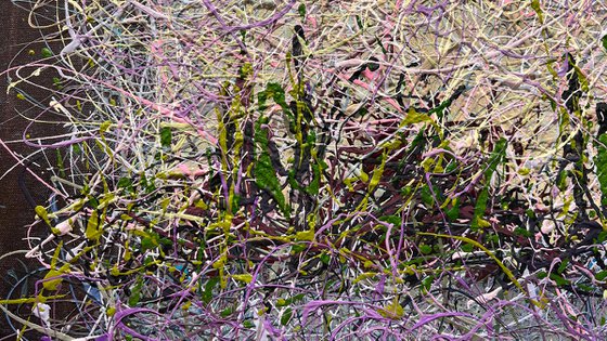 The Hushed Pulse of Summer