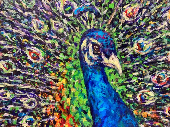 Peacock Magnificent, Peacock painting