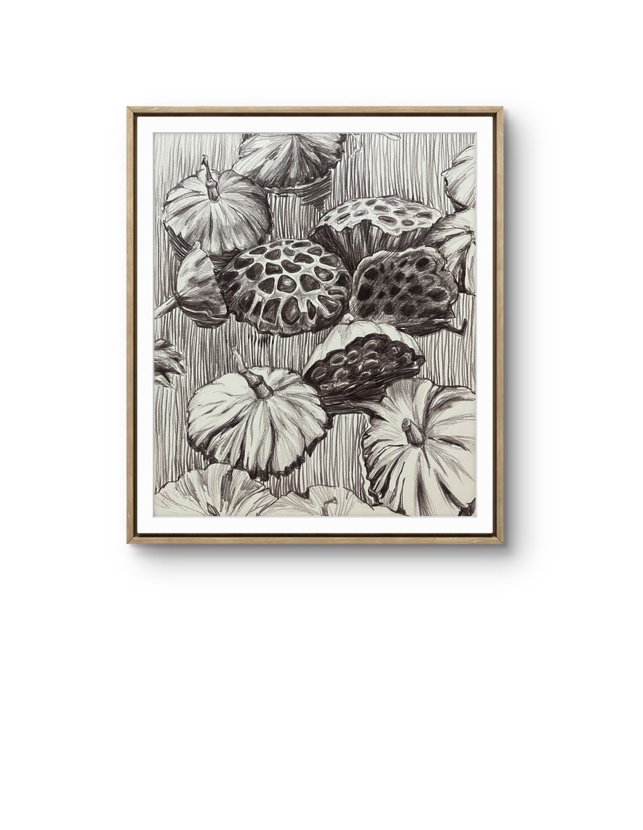 Graphic Botanical Pencil Drawing By Guzel Min, 10 X 12, Lotus Pods. Water Flower Pond, Original Artwork