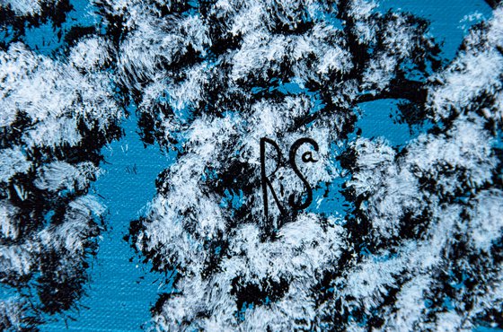 Starry Night Over Snowy Forest
